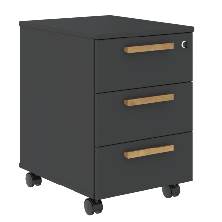Тумба мобильная Forta FMC-3D 408x600x504 (Черный графит)